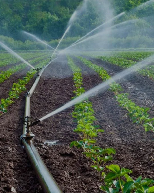 Anchor Farmer — Agbledu Agro-Ecological Park